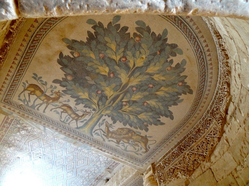 tree of life