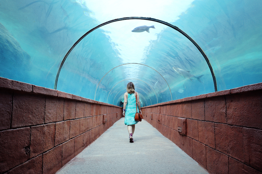 underwater museum in Atlantis