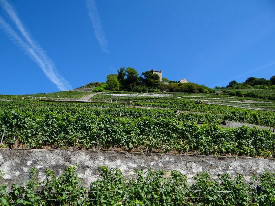 guide to Lavaux