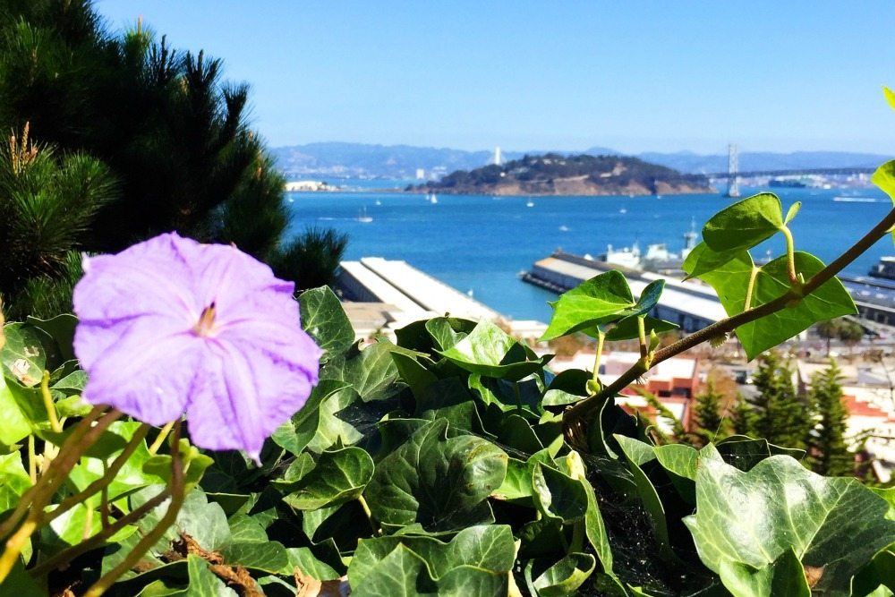 best views in San Francisco